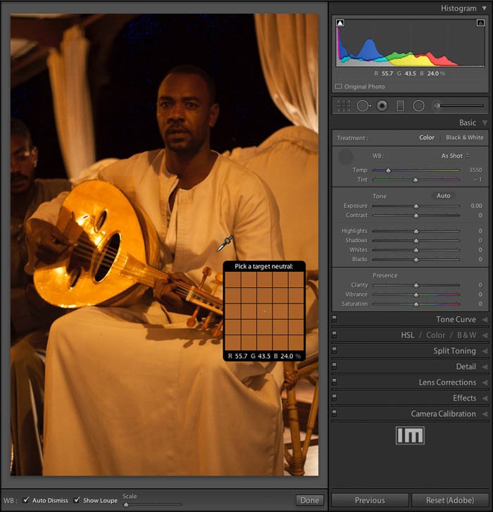 A screenshot of setting the White Balance in the Lightroom Develop Module 