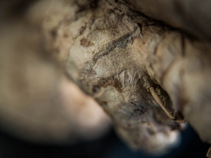A macro image of ginger root