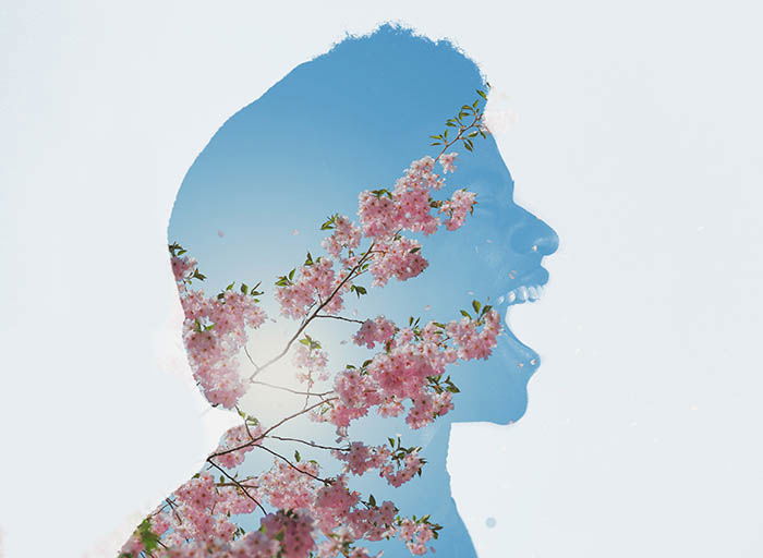 silhouette of a laughing woman double exposed with the picture of a cherry tree