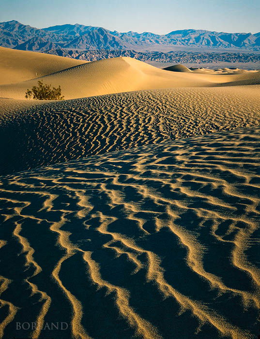 Sand Dunes: Lessons for Photographing One of Nature's Most Dynamic