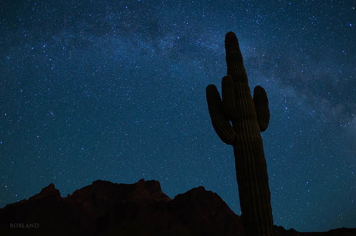 nighttime desert photography showing the silhouettes of mountains and a cactus with the starry night sky in the background