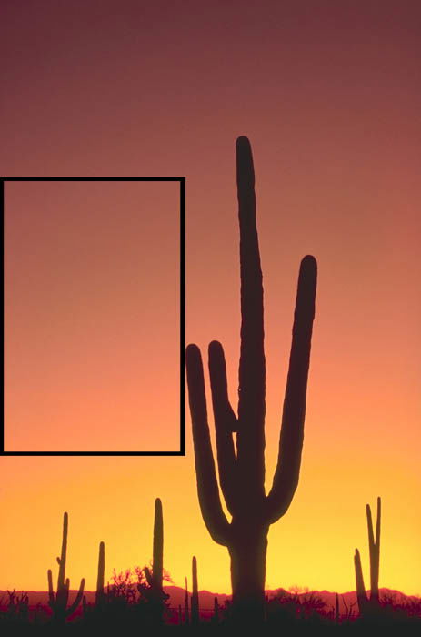 How to Shoot Perfect Desert Photography Image - 49