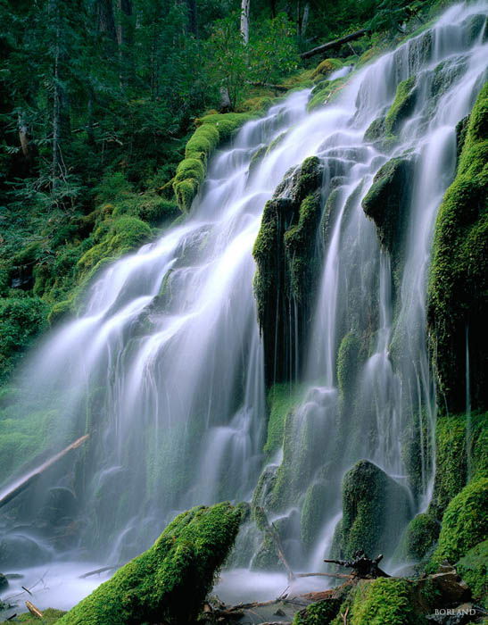 waterfall in a jungle - shot with a long shutter speed