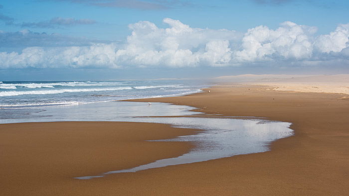 A beach coast