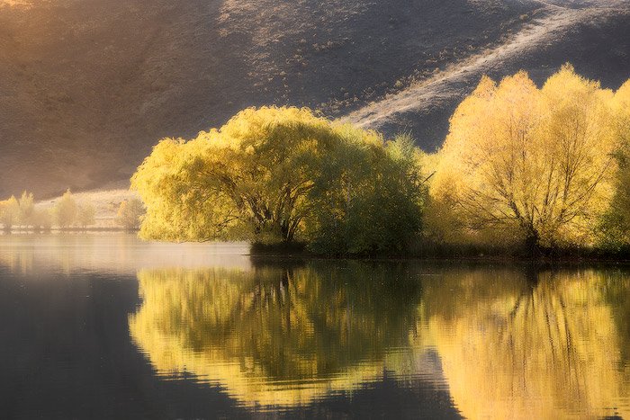 秋天湖边的黄金时光