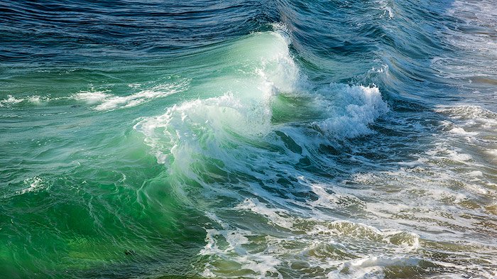 A fresh green wave in the sea