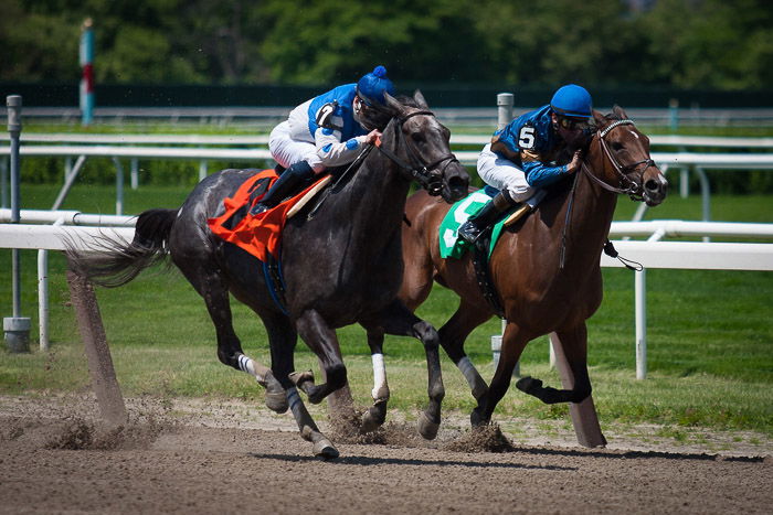 Two horses and riders running in a race 