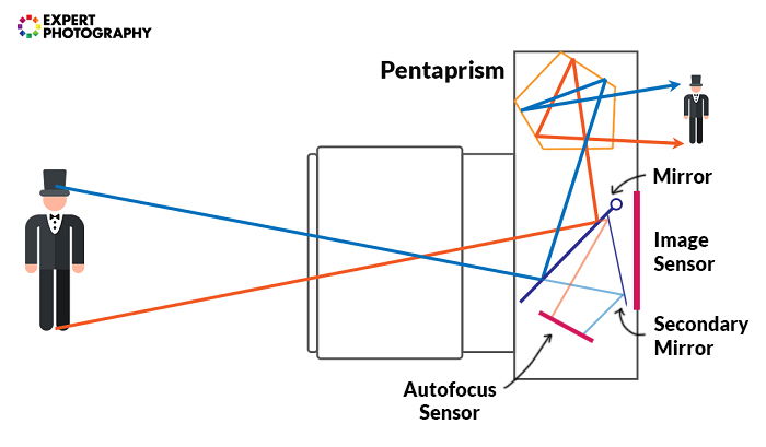 Illustration on how a D S L R camera works