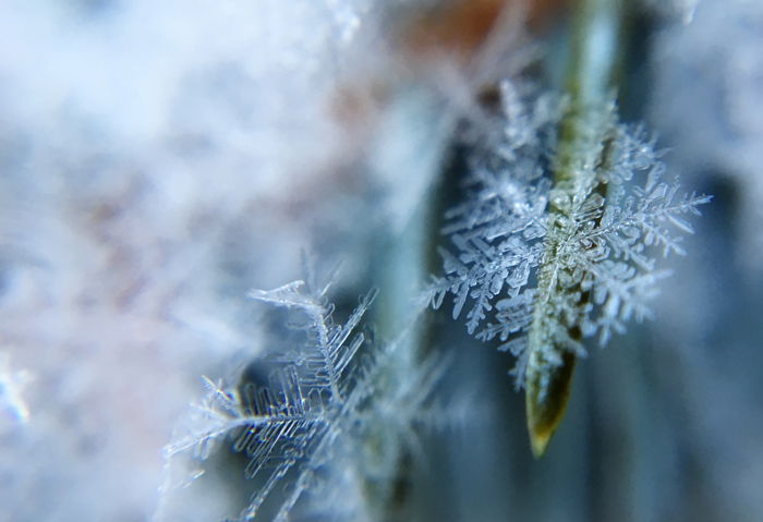 雪花