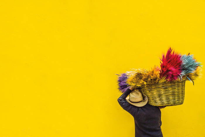 a man carrying flowers against a strong, yellow backdrop