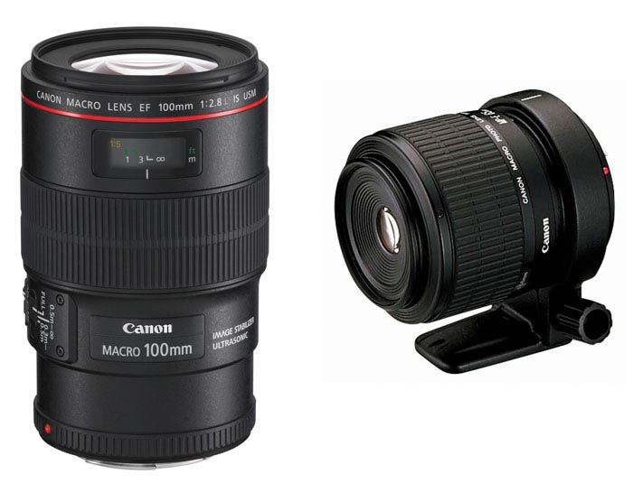 macro lens for close up photography