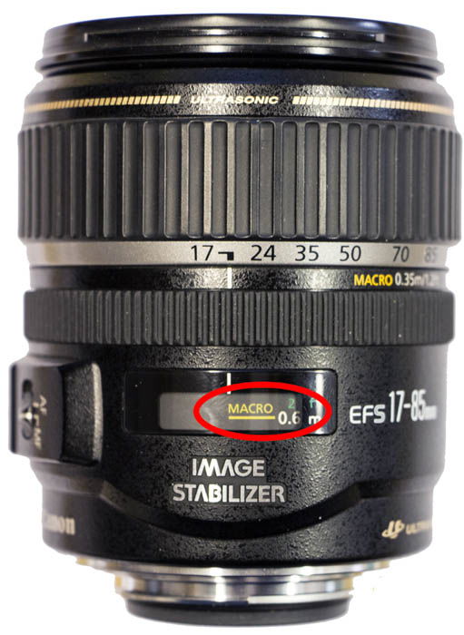 Canon Zoom Lens