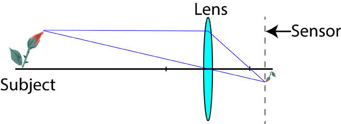 conventional close up photography graph