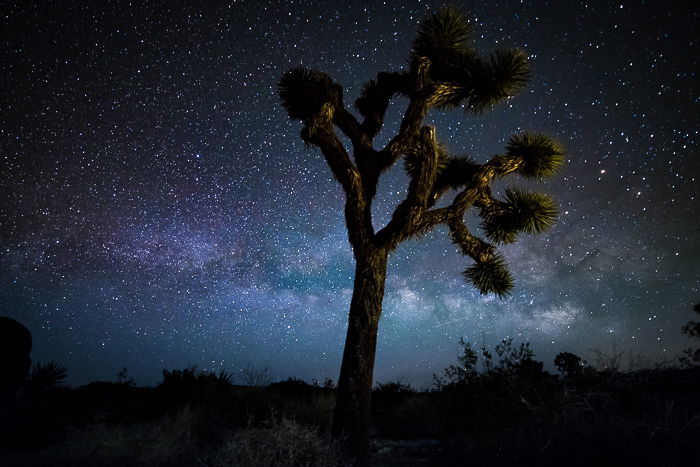 Default Milky Way Photography Settings For Stunning Photos