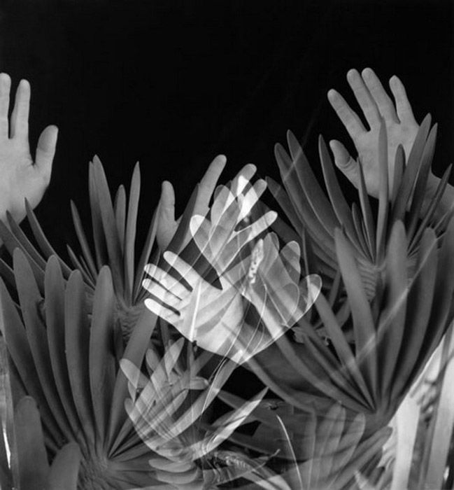 hands photo by Imogen Cunningham 