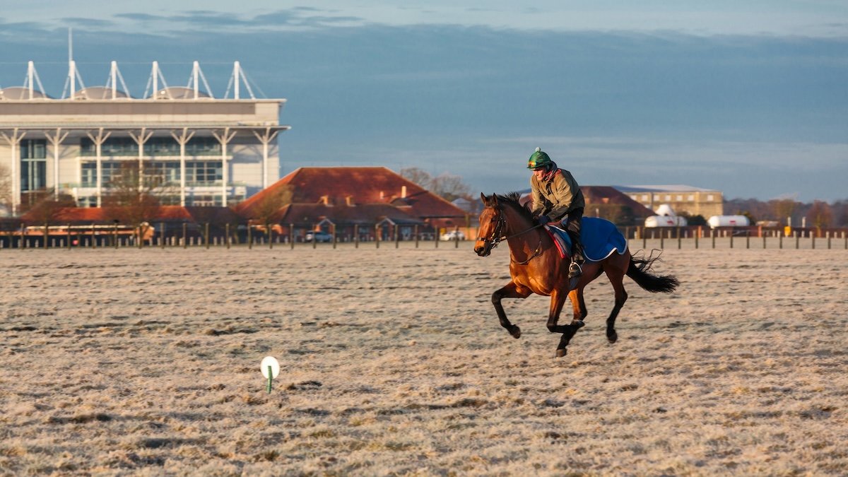 A trainer riding a racehorse in a field as an example for sports photography