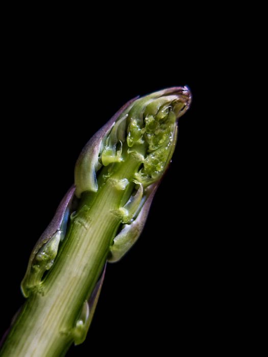 A half asparagus in front of a black background