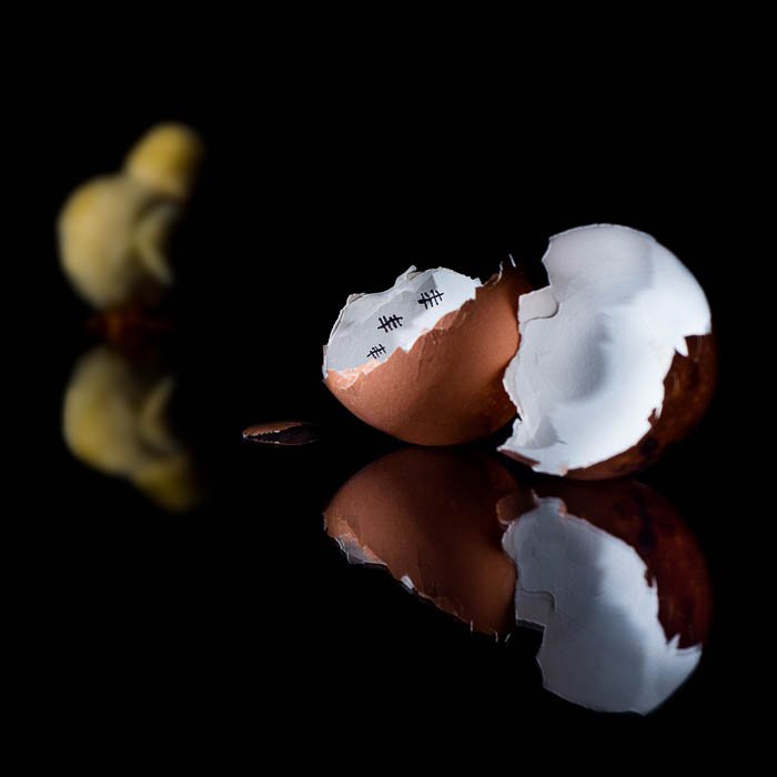 Still life photo with a cracked egg and a chicken