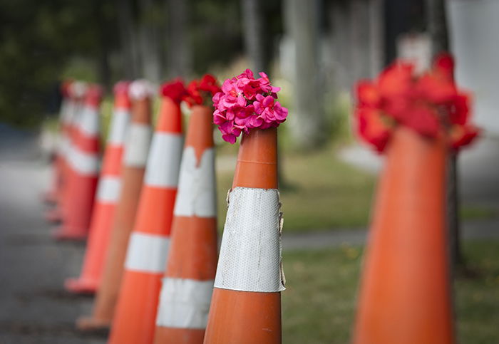 a line of traffic cones holding bunches of pink and red flowers on top