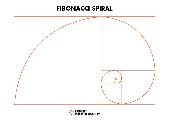 a diagram of the fibonacci spiral for food photography composition