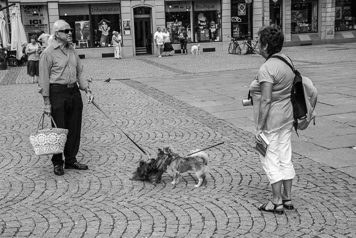 Black and white urban photograph of two people with dogs meeting on a street in Strassbourg