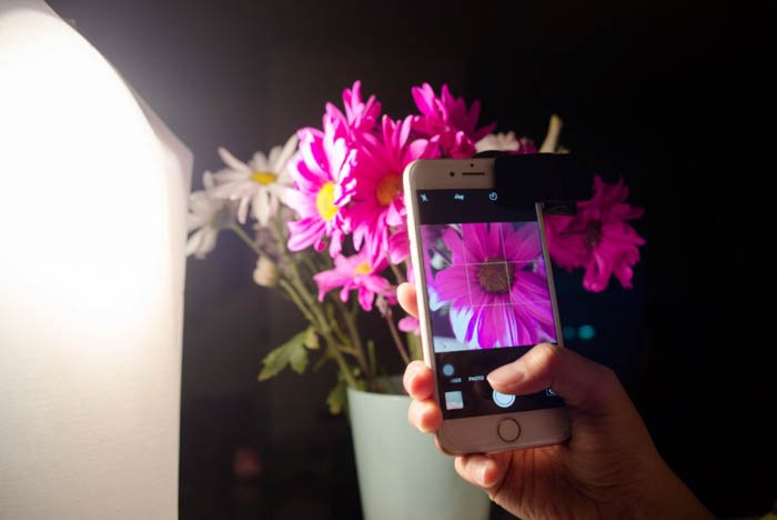 indoor smartphone macro photography setup with a potted pink flower