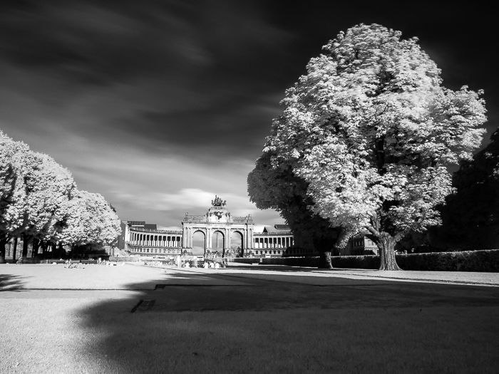 black and white infrared photo of the Parc du Cinquantenaire (Brussels, Belgium) under a dramatic cloudy sky , with grass and trees in the foreground