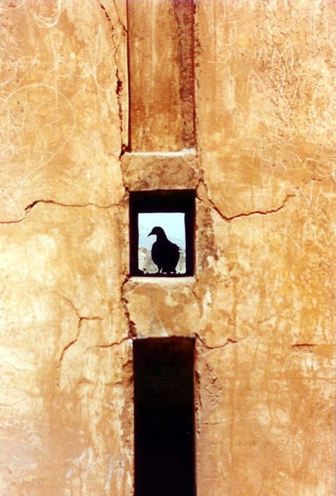The silhouette of a pigeon in the window of a stone building