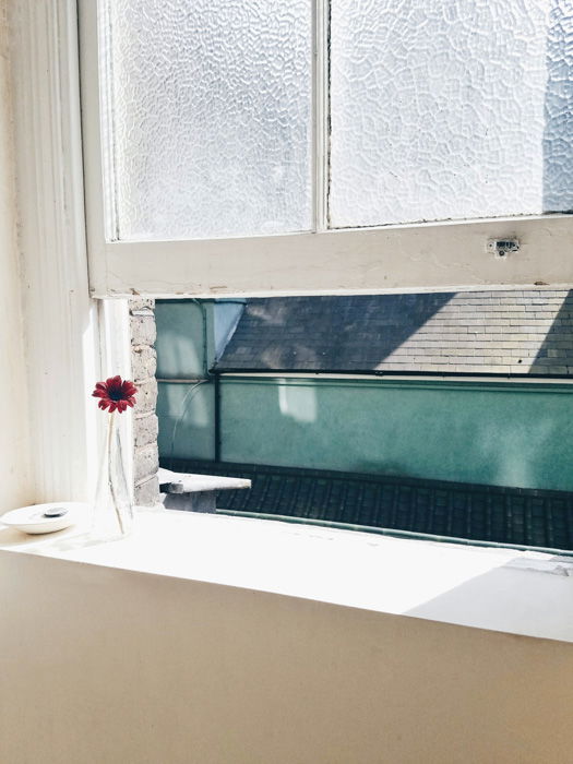 A single flower on a white windowsill