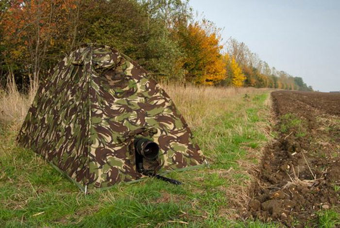 A wildlife photography hide