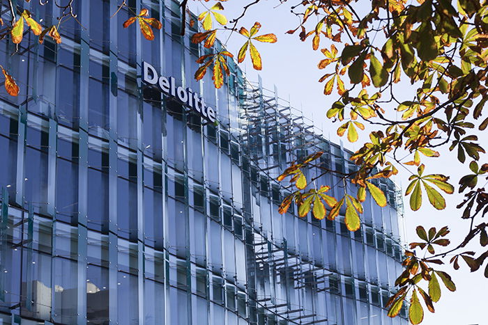 Facade of a multi windowed modern building with 'Deloitte' logo, leaves from a tree in the foreground. Architectural photography