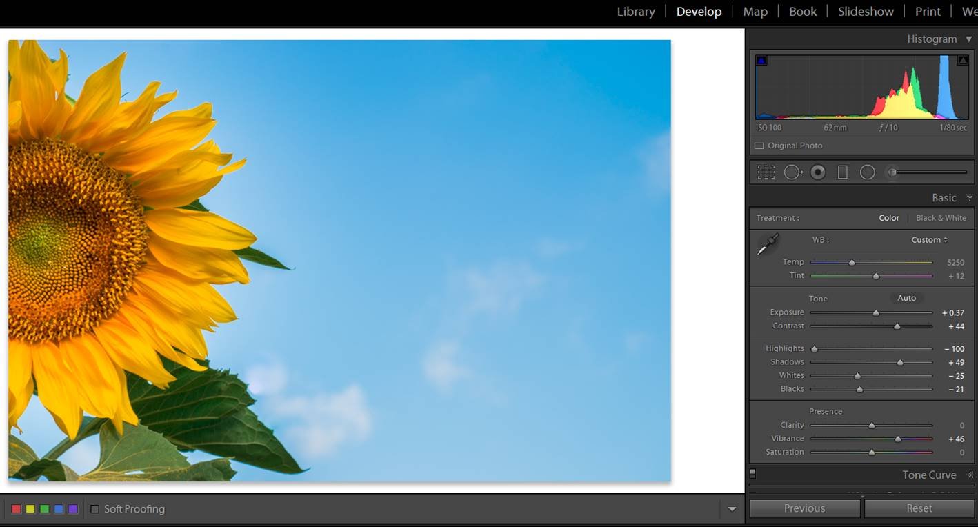 How to Edit Flower Photos - 9 Tips for Lightroom