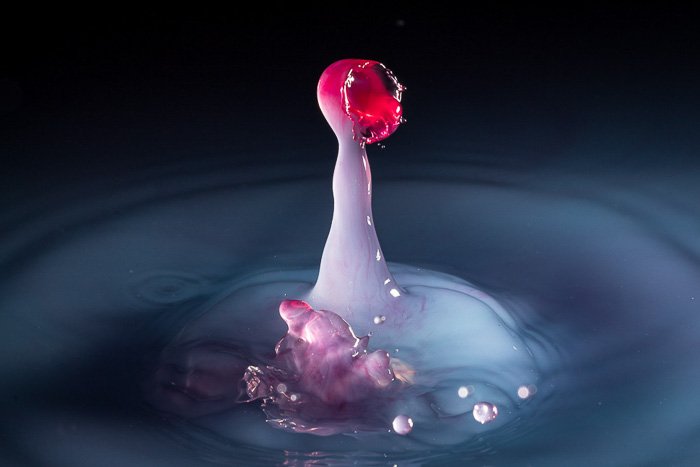 A photo of a red watersplash in water