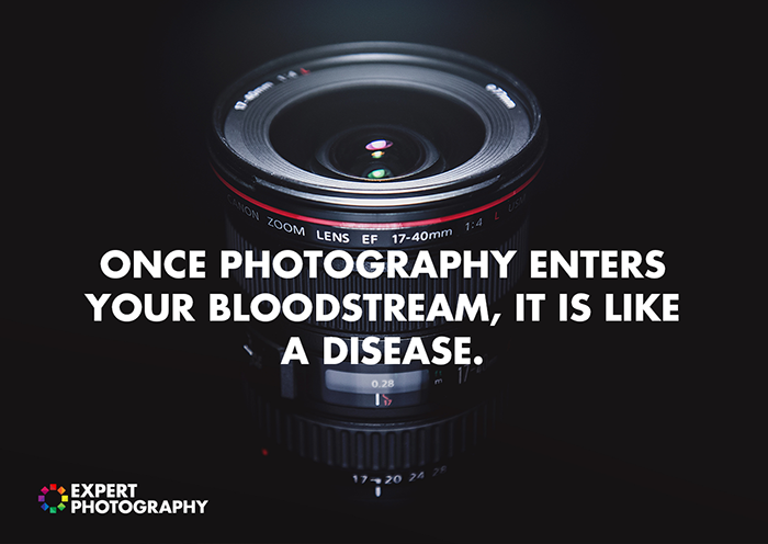 photography quotes about beauty