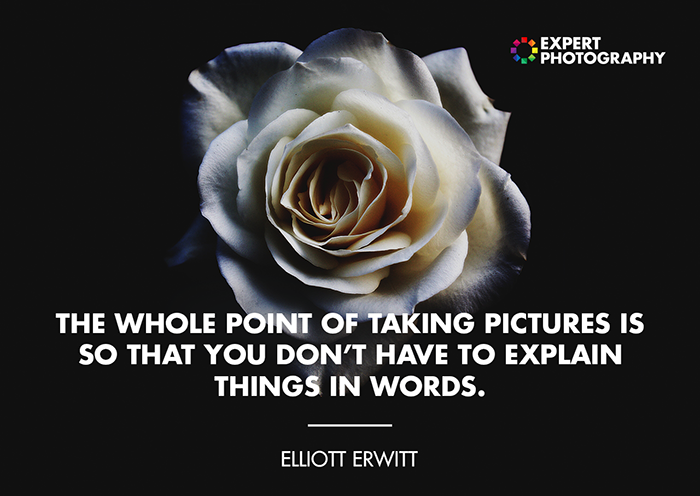 photography life quotes