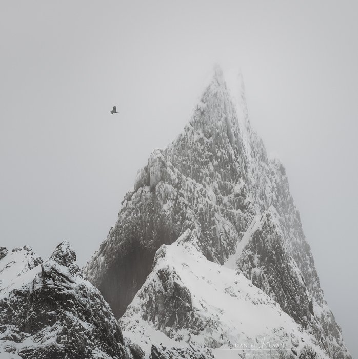 A fine art landscape photography shot of a rocky ice capped mountain with a bird flying by.
