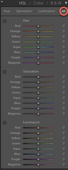 Screenshot of Lightroom interface with toggles