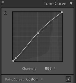 Lightroom Tonal Curve Point