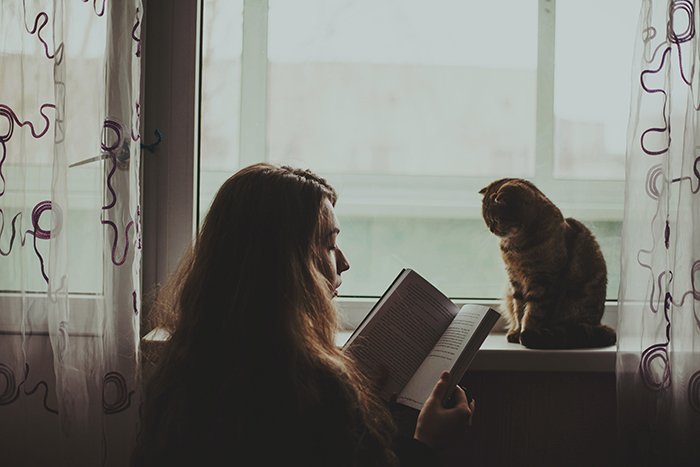 ethereal photo of a girl reading to her cat who sits on the windowsill, natural light portrait photography