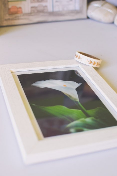A photograph of a white lily in a white frame. Photography ideas.