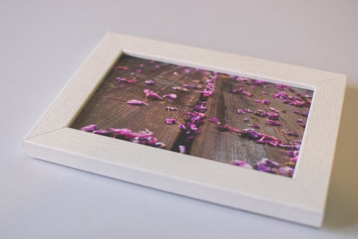 A photograph of a pink flowers in a wooden frame. Photography ideas.
