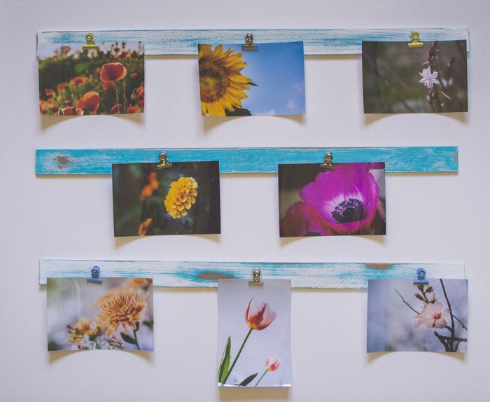 A unique photo gift display of 7 flower photographs hanging on green boards. Creative photography ideas.