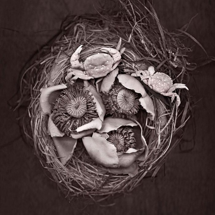 A nest filled with flowers, surrounded by straw, with small crabs scattered around it. 