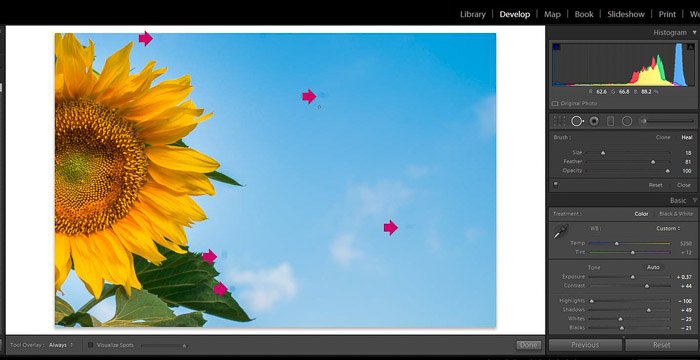 Screenshot of Adobe Lightroom spot removal tool for editing flower photography 