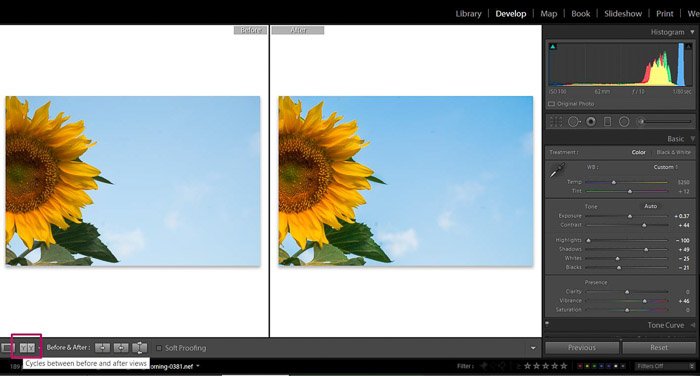Screenshot of Adobe Lightroom editing flower photography - Lightroom editing view modes compare