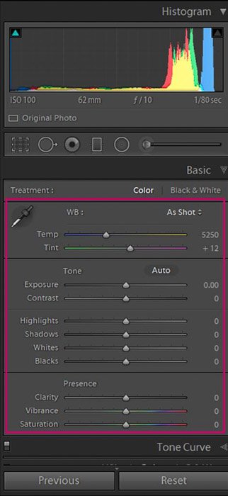 Screenshot of Adobe Lightroom global adjustments panel for editing flower photography