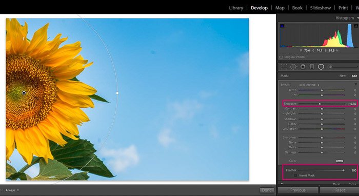 Screenshot of Adobe Lightroom editing flower photography - Lightroom editing view modes
