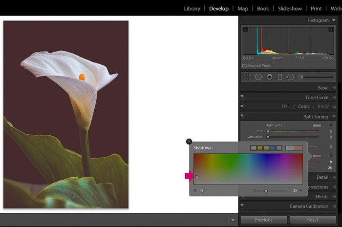 Screenshot of Adobe Lightroom split toning panel for editing flower photography 