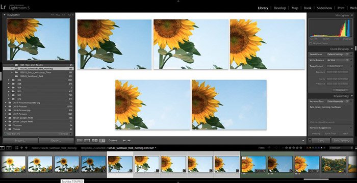 Screenshot of Adobe Lightroom editing flower photography - Lightroom editing view modes
