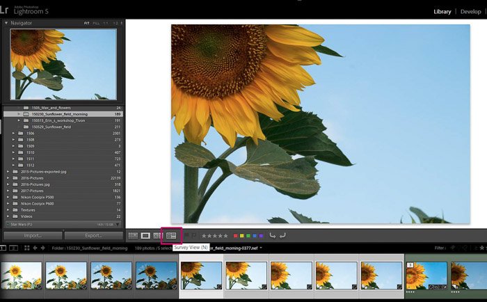 Screenshot of Adobe Lightroom editing flower photography - Lightroom editing tips